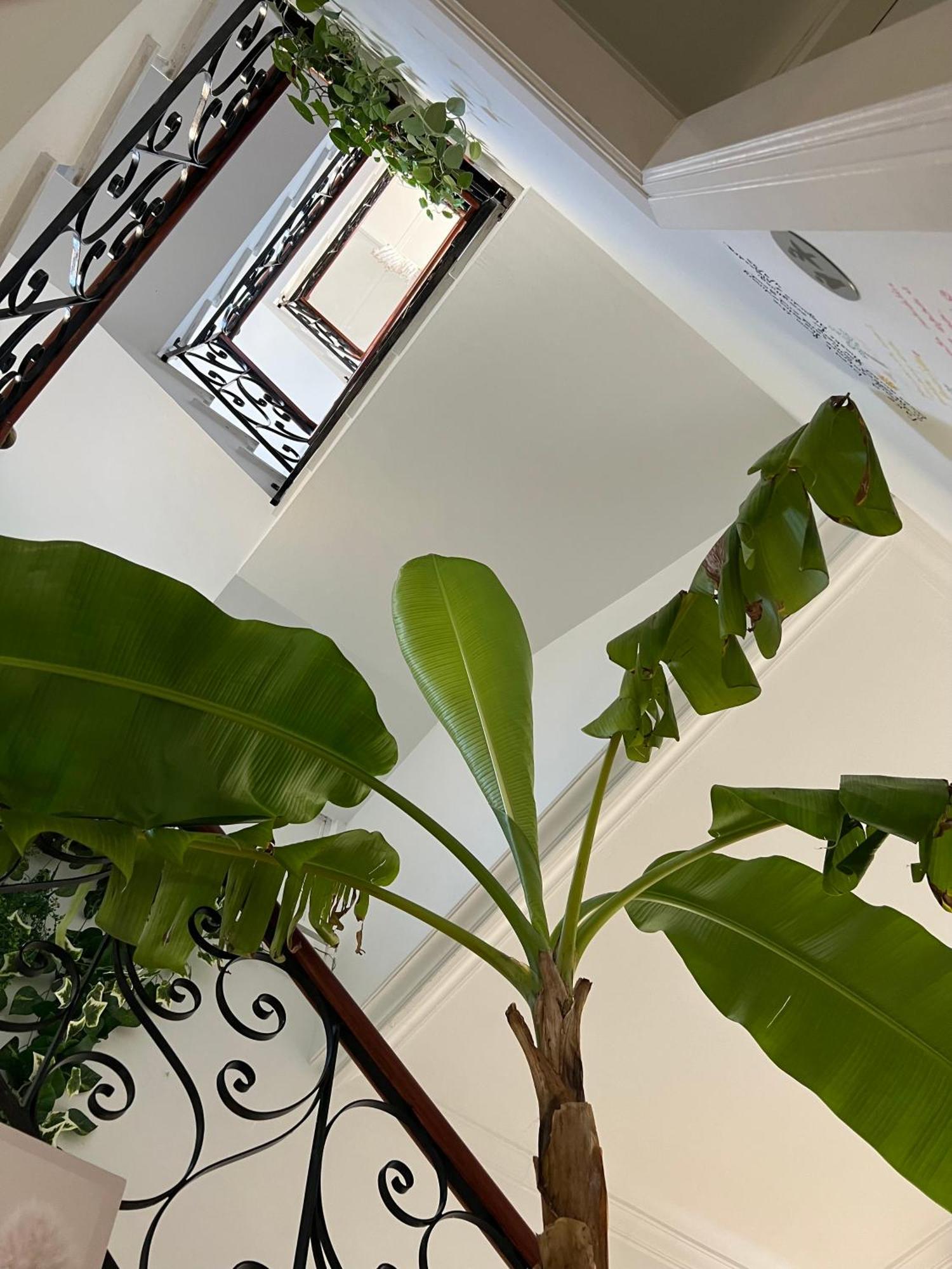 Balear Hotel Ciutadella  Eksteriør billede